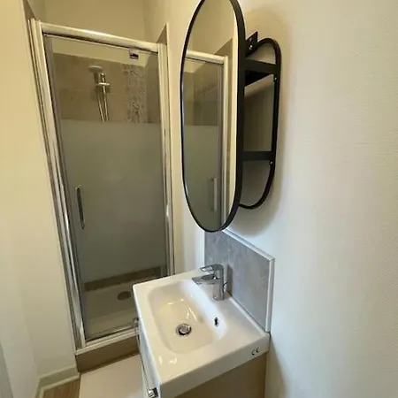 Daire Studio Quartier Des Thermes Appart Le Cygne 3 Vichy